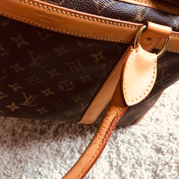 Authentic Louis Vuitton Sac Chien 40 Dog Carrier - Picture 6 of 8